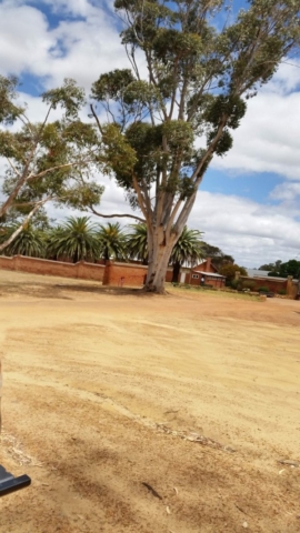 New Norcia