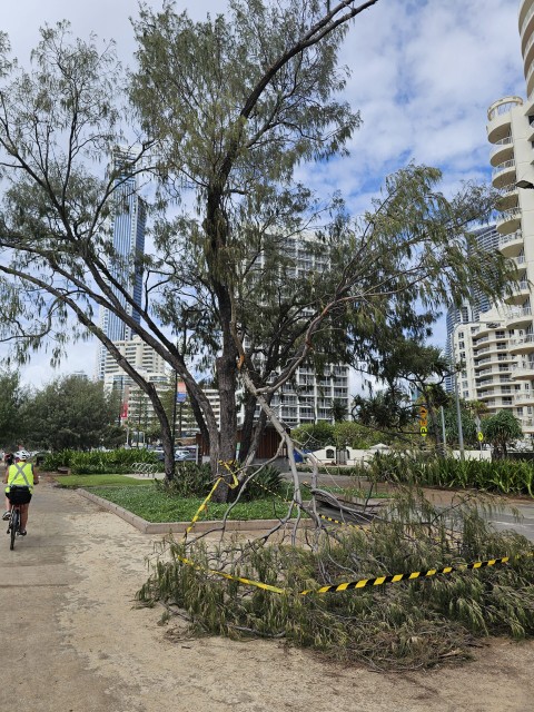 Brisbane Photo