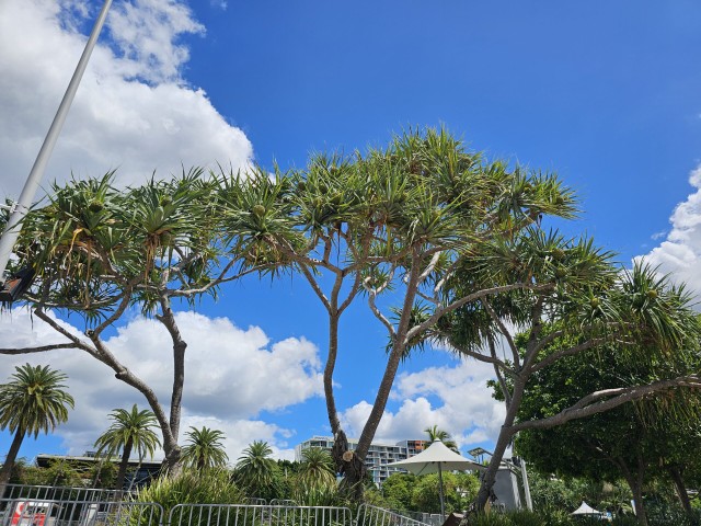 Brisbane Photo