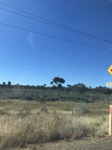 Kalgoorlie