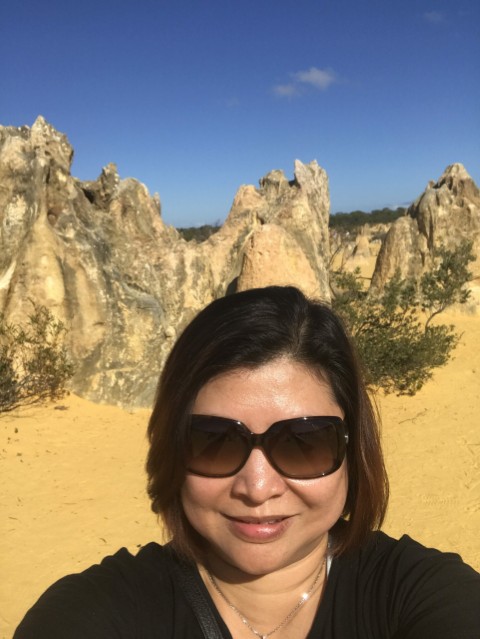 The Pinnacles