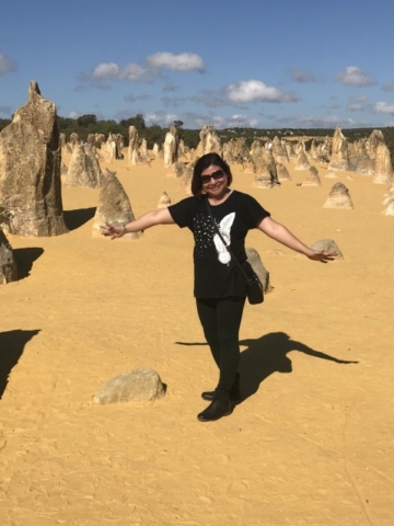 The Pinnacles