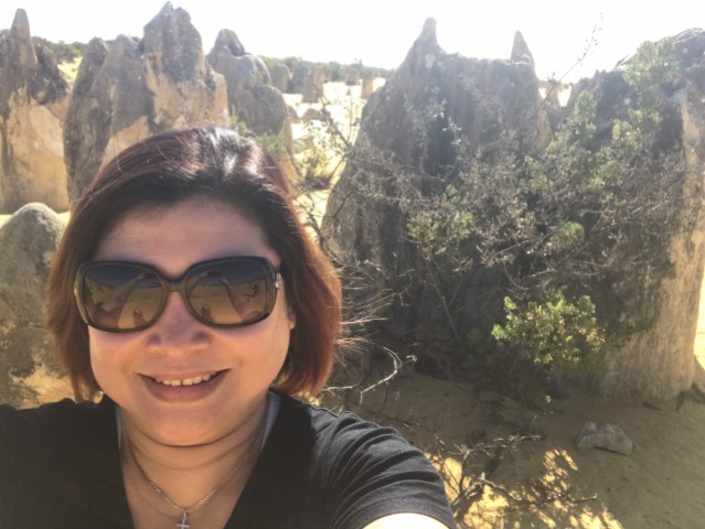 The Pinnacles