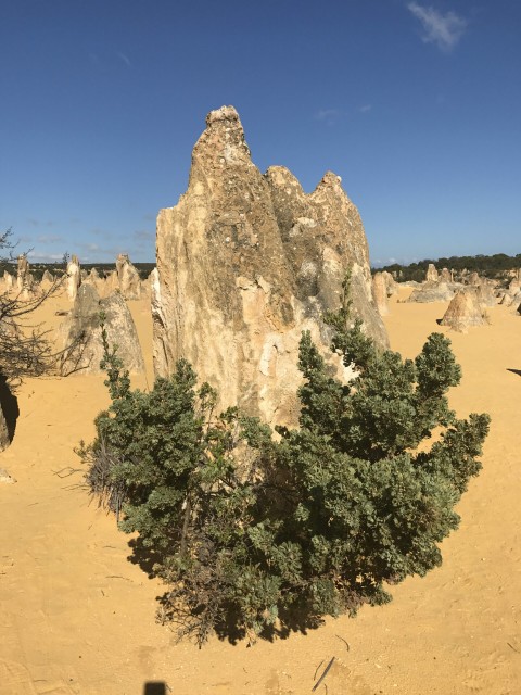 The Pinnacles