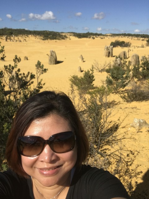 The Pinnacles