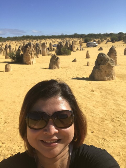 The Pinnacles