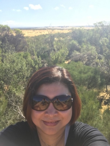 The Pinnacles