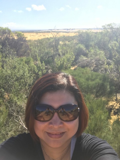 The Pinnacles