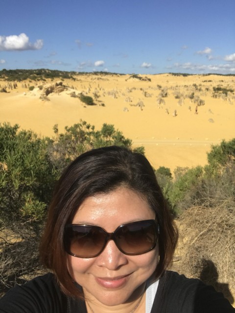 The Pinnacles