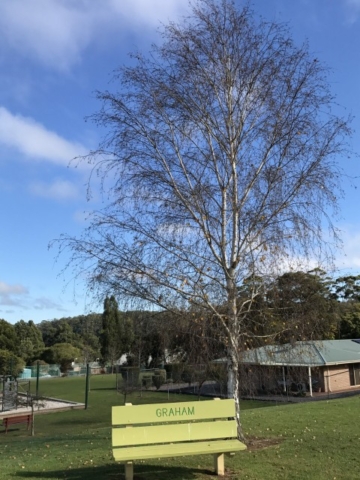 Pemberton
