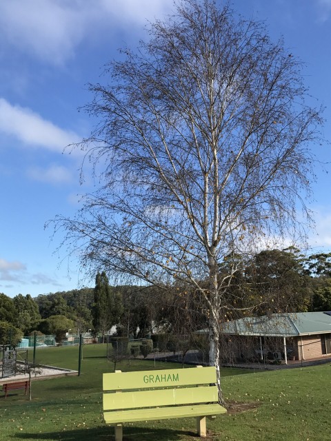 Pemberton