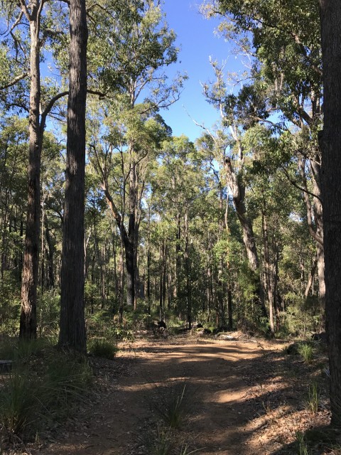 Pemberton