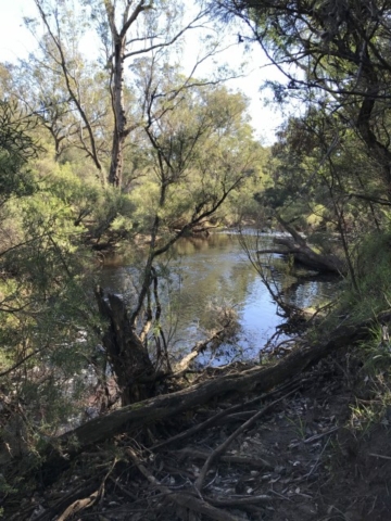 Nannup