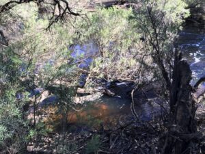 Nannup