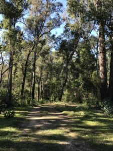 Nannup