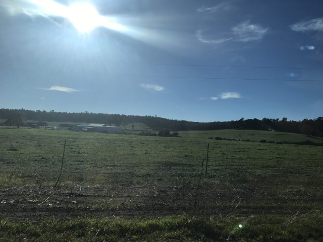 Nannup