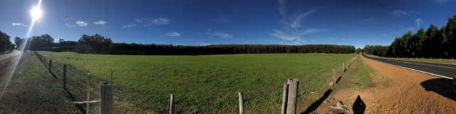Nannup