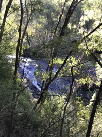 Nannup