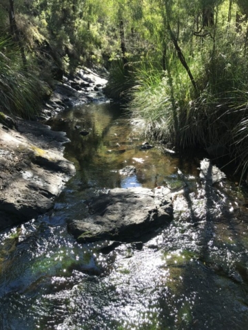 Nannup