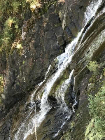 Nannup