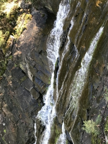 Nannup