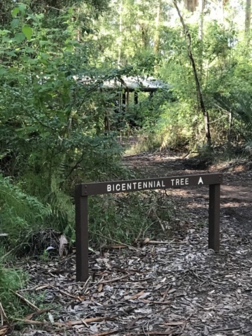 Nannup