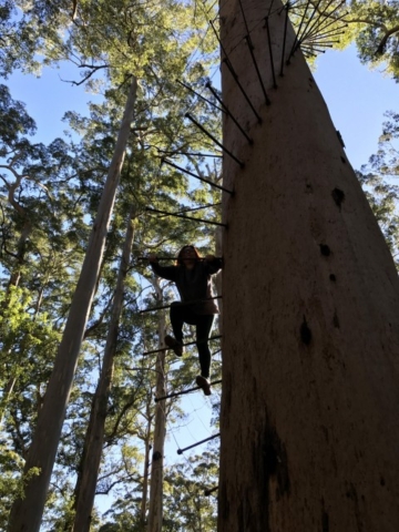 Nannup
