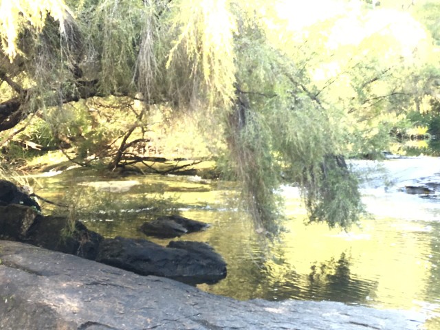 Nannup