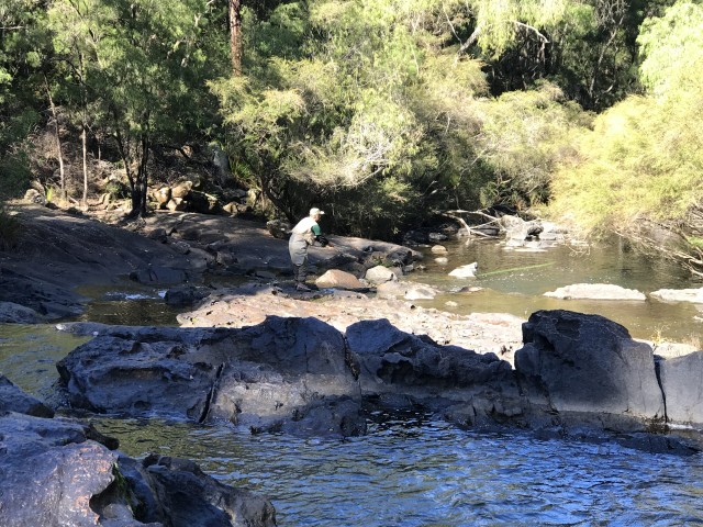 Nannup