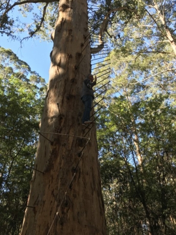 Nannup