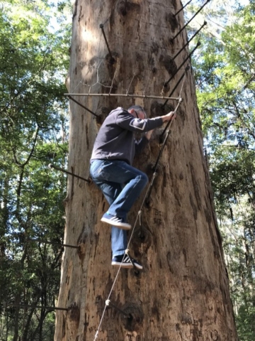 Nannup