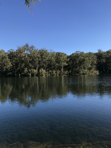 Nannup