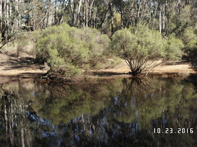 Nannup