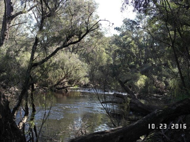 Nannup